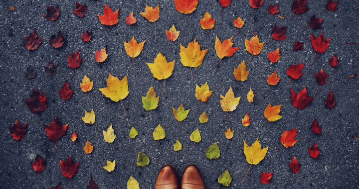 Thumbnail for Understanding The Stages of Change